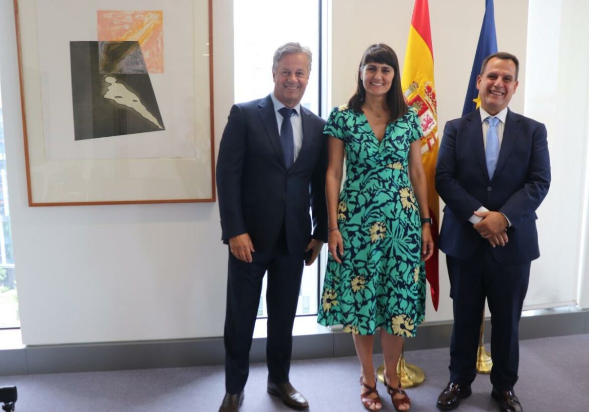 Trece municipios de la Región aspiran ya a albergar el centro de microchips