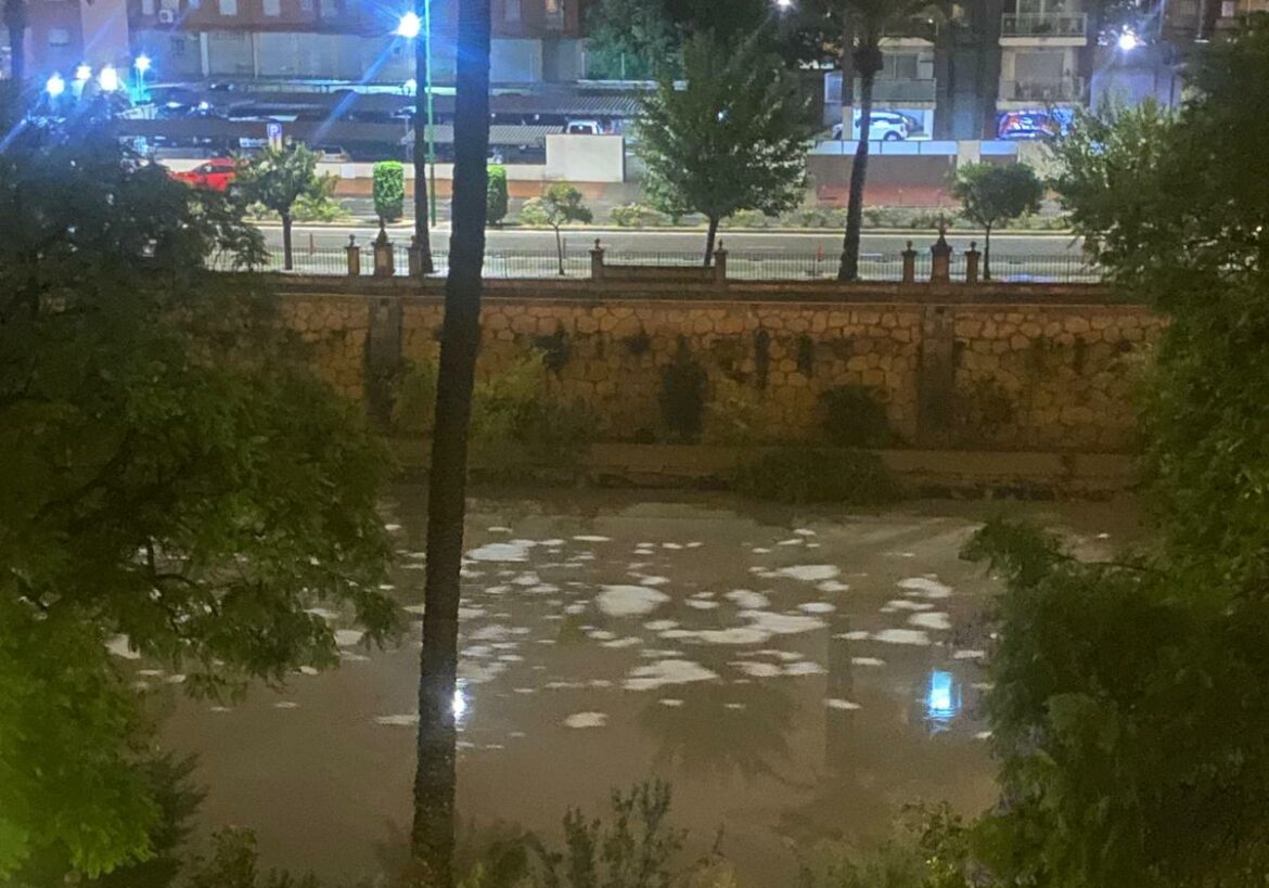 Espuma blanca en el río Segura a su paso por Murcia: el eterno problema que sigue sin explicación