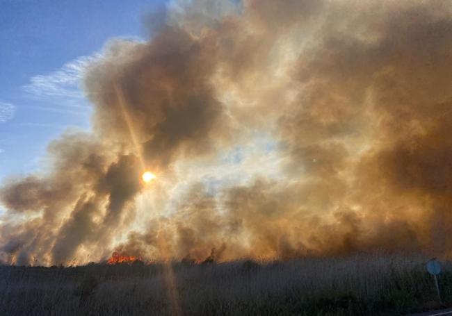 Trabajan para apagar un incendio forestal en el espacio protegido de Torre del Rame en Cartagena