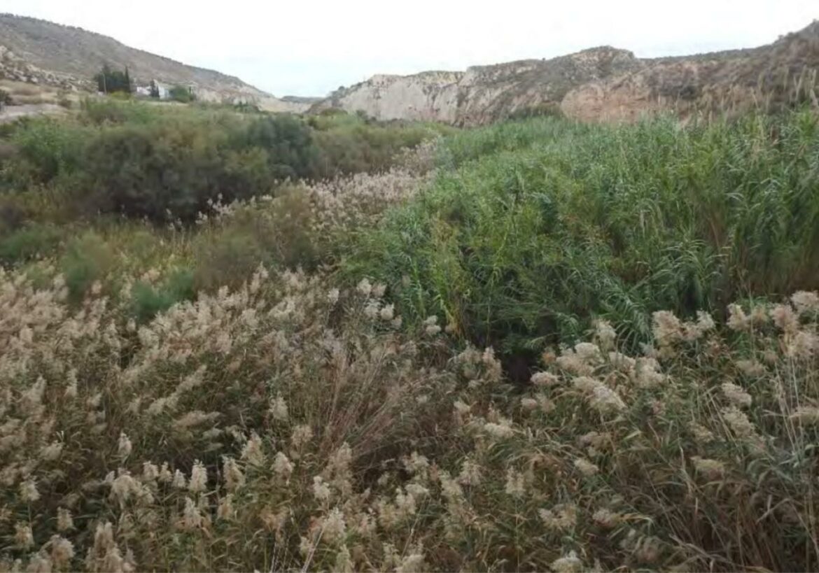 Plan de choque para salvar de la degradación las riberas del río Mula