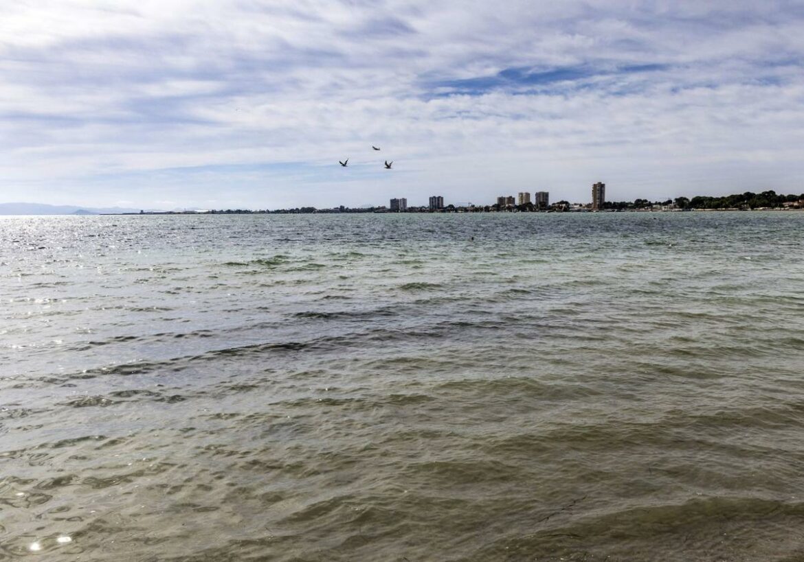 El impacto de la dana en el Mar Menor deriva en una guerra científica de cifras y el choque político