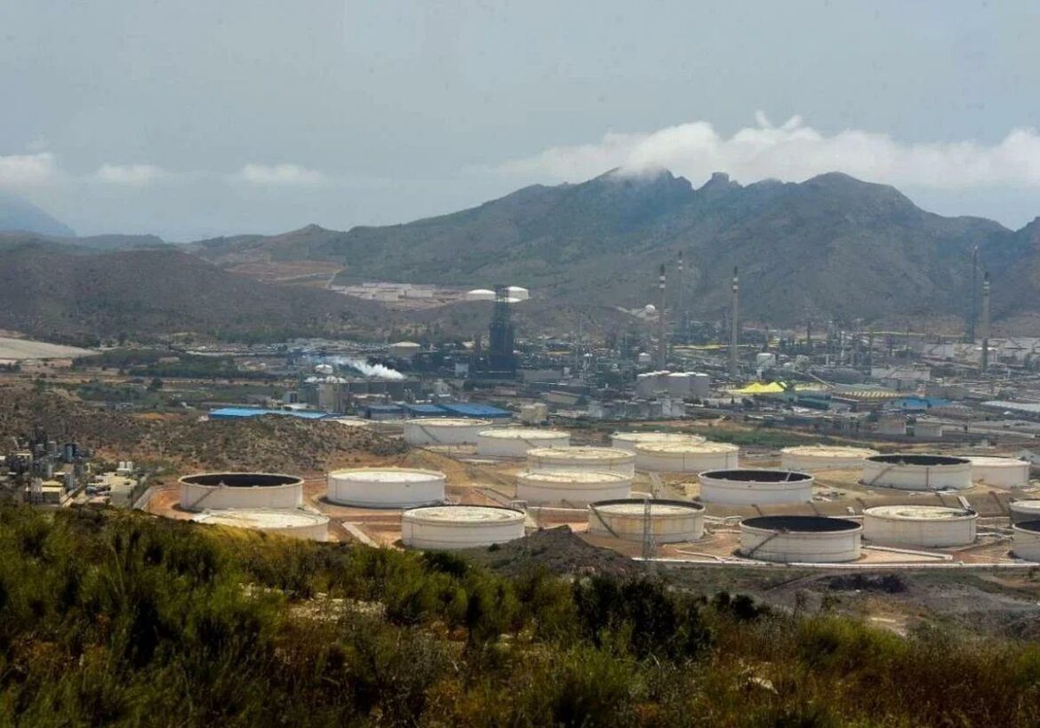El plan para la red eléctrica evitará «fallos» de suministro en Escombreras y Murcia