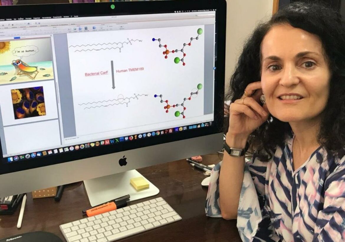 Montserrat Elías Arnanz: «Nos preocupa que el acceso a terapias genéticas no sea igualitario por su coste»