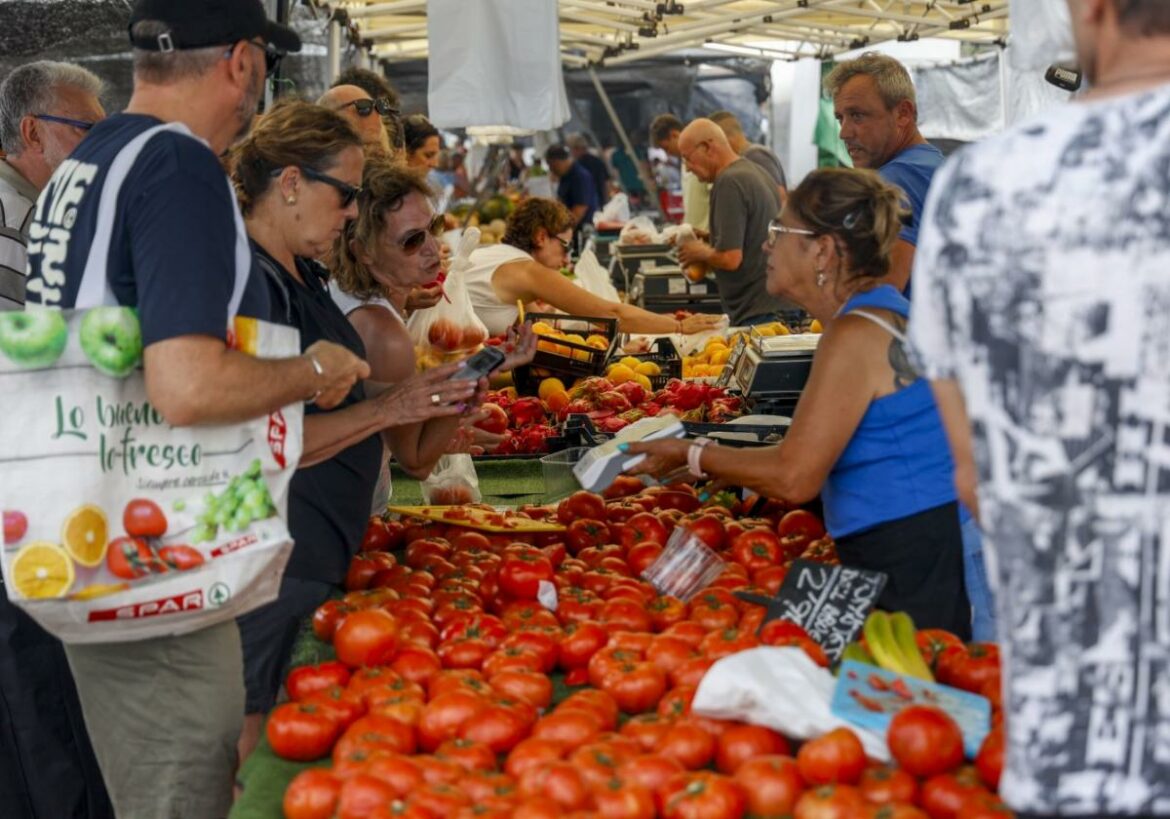 Europa reconoce el daño del tomate marroquí porque «ahora producen todo el año»
