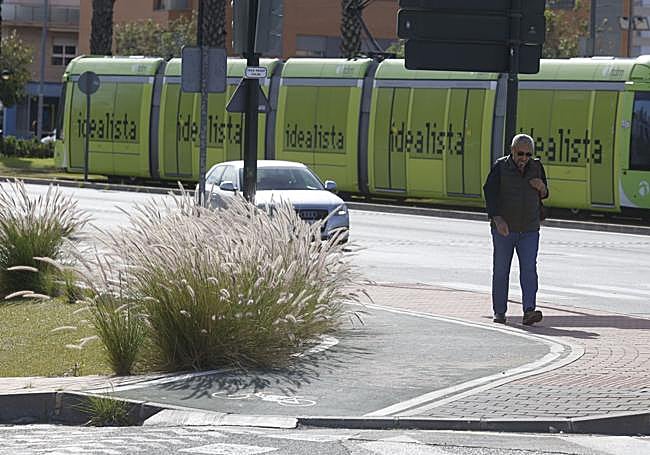 Una planta invade el carril bici en la avenida Juan de Borbón, en Murcia.