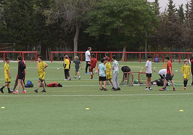 El trabajo en la escuela. Los pequeños del CD Alberca entrenando el pasado jueves.