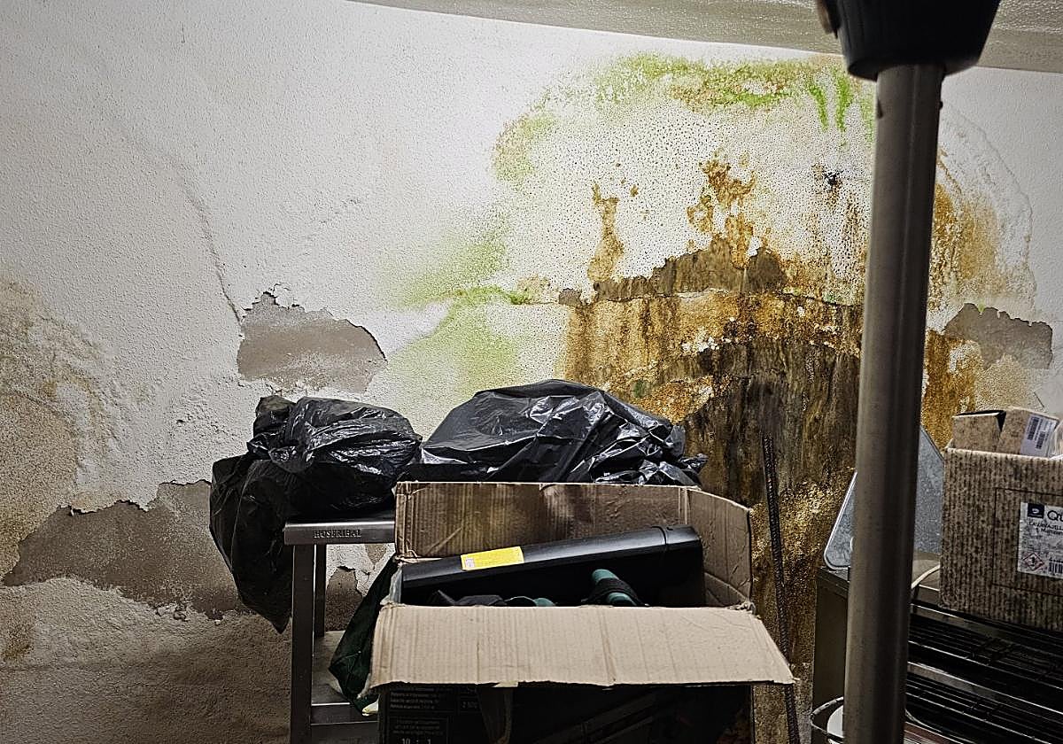 Humedades en El Esparragal.