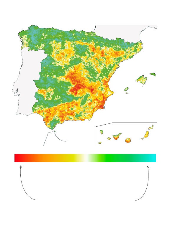 La desertificación se extiende por más del 90% de la Región de Murcia