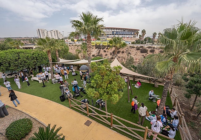 Nueva Condomina consolida el proyecto 1000LIVES y sigue creando comunidad entorno a la elaboración del aceite de oliva