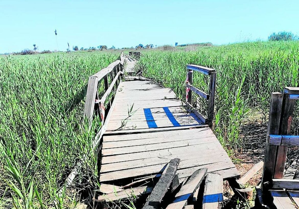 La recuperación de La Hita pasará por negociar la cesión de los terrenos