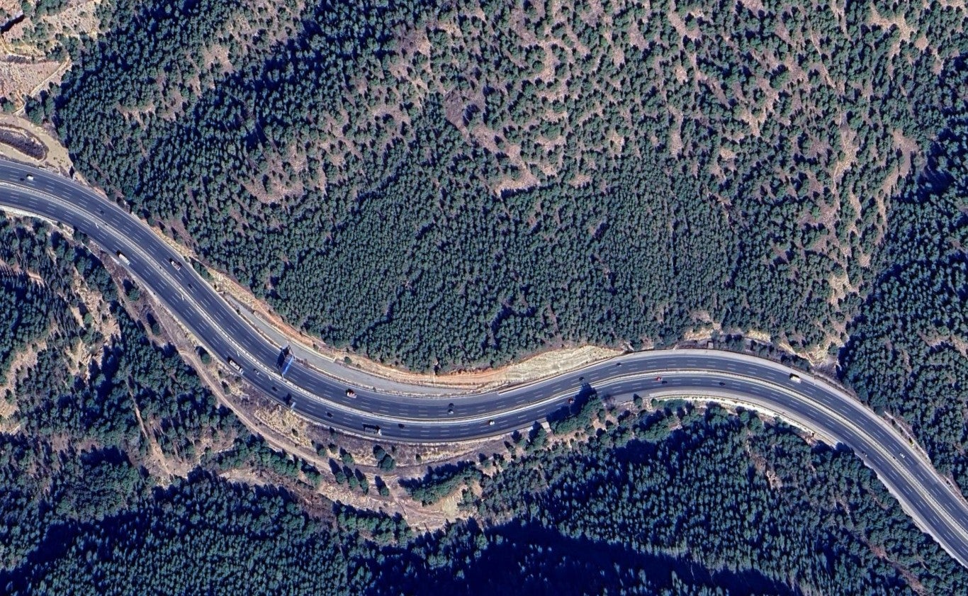 Imagen antes - Nueva ofensiva para talar pinos secos y plantar arbustos que salven los montes de la Región de Murcia