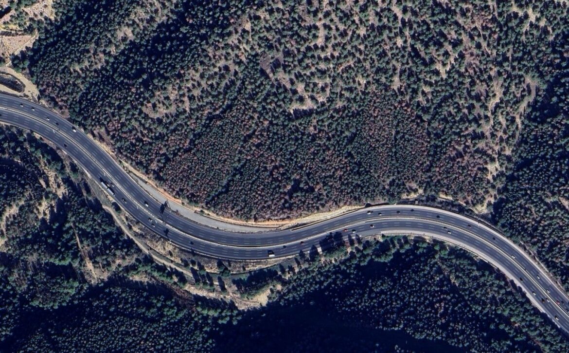 Nueva ofensiva para talar pinos secos y plantar arbustos que salven los montes