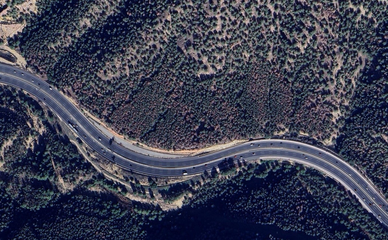 Imagen después - Nueva ofensiva para talar pinos secos y plantar arbustos que salven los montes de la Región de Murcia