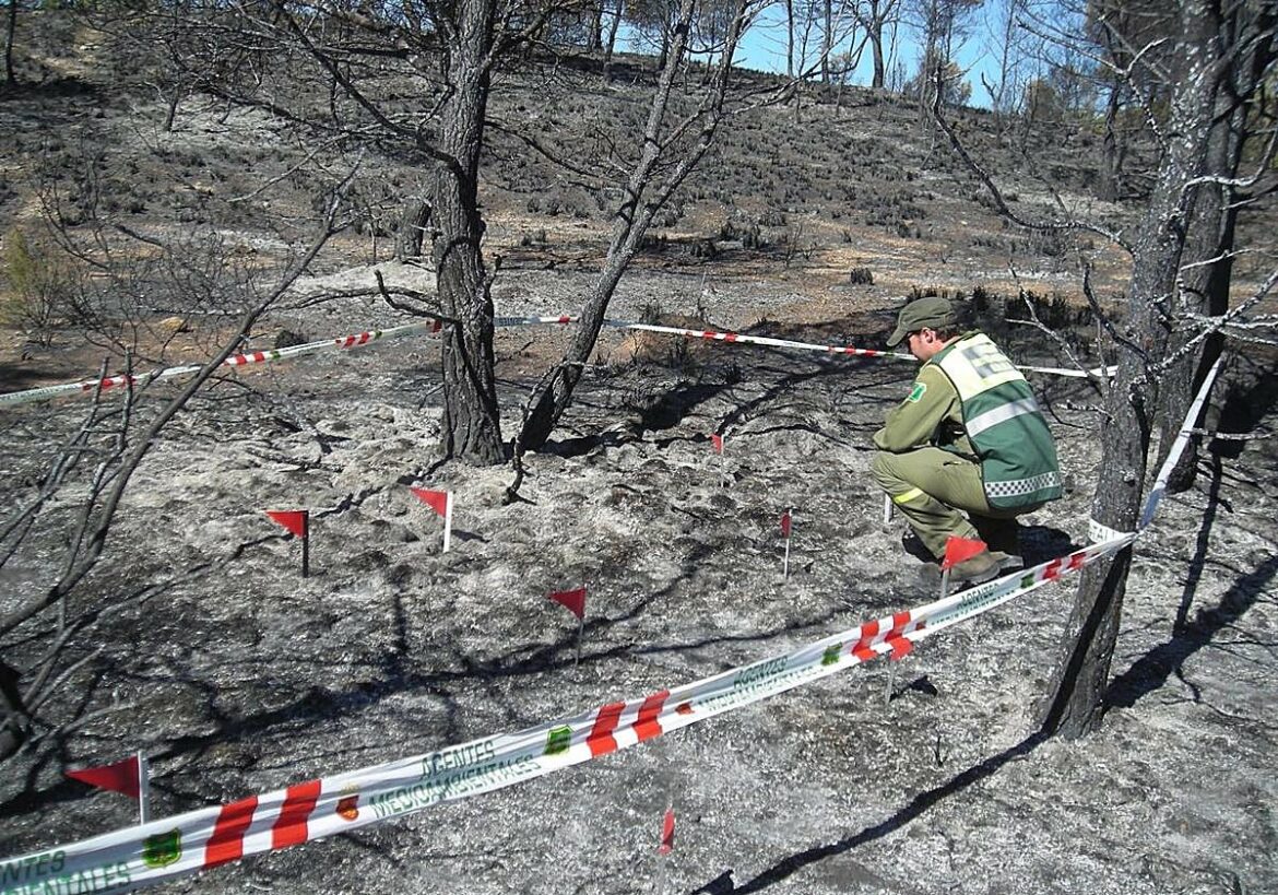 Más de 700 casos investigados por la BRIDA en sus 20 años de trabajo en la Región de Murcia