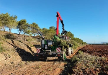 El Comité del Mar Menor y los colectivos náuticos piden más recursos para la vigilancia