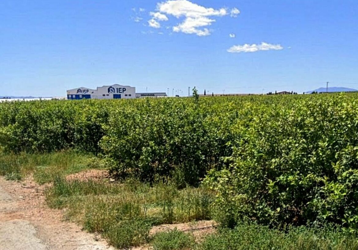 El alcalde de San Javier descarta la planta de biogás de El Mirador por el uso de purines