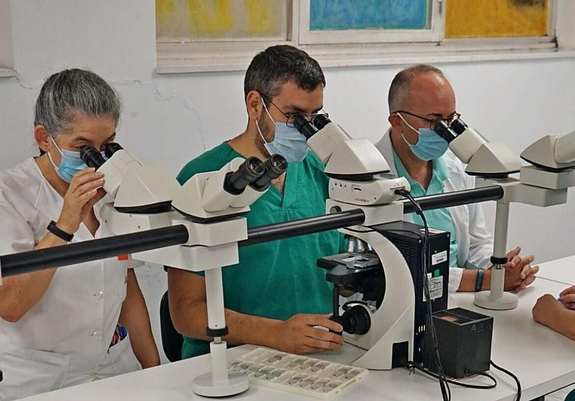 El Banco de Cerebros regional acumula 322 donaciones en 18 años