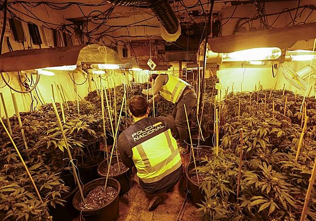 Una investigación destapa los ‘narcotúneles’ de ‘maría’ en Murcia