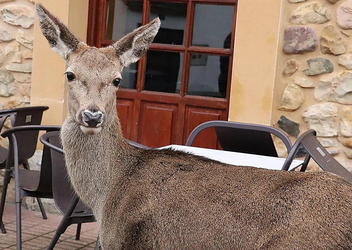 Imagen secundaria 1 - Imágenes de Pepa al lado de Javier Alonso.