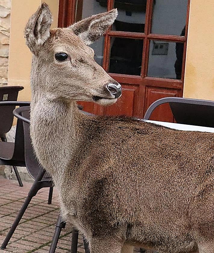 Imagen secundaria 2 - Imágenes de Pepa al lado de Javier Alonso.