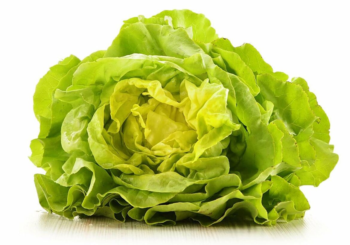 Lechuga mustia: el sencillo truco para recuperar sus hojas y poder usarlas en una ensalada