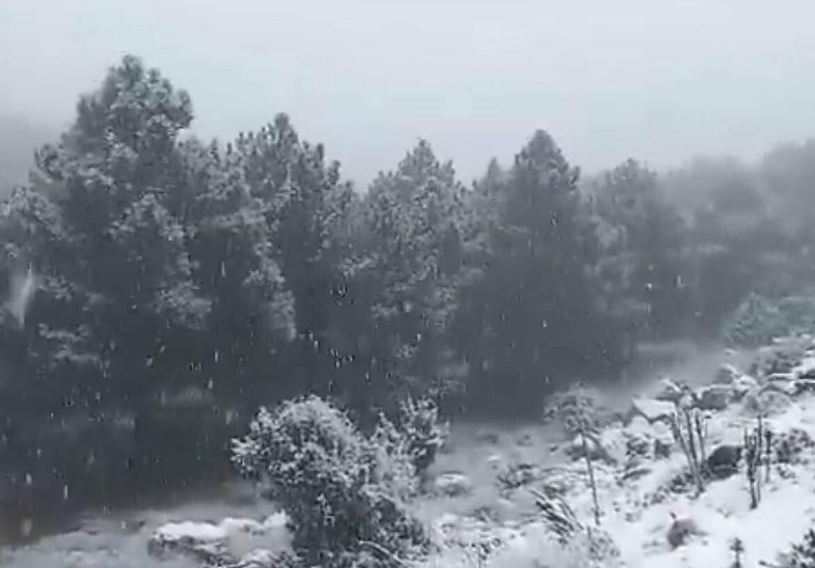 La nieve tiñe de blanco Sierra Espuña y la Sierra del Carche