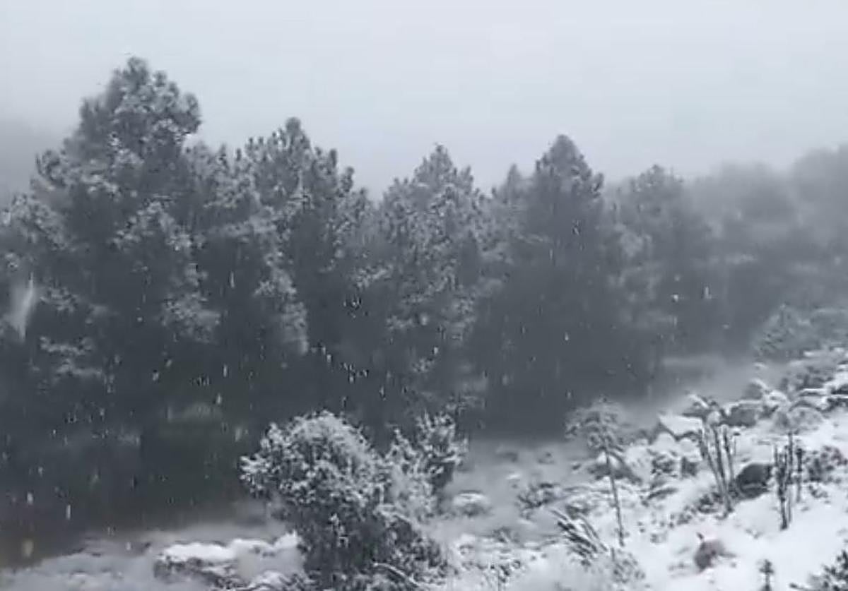La nevada de este jueves en Sierra Espuña