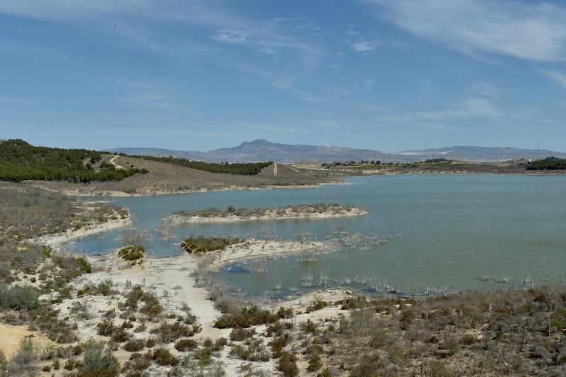 Los pantanos de la cuenca del Segura ganan seis hectómetros en la última semana