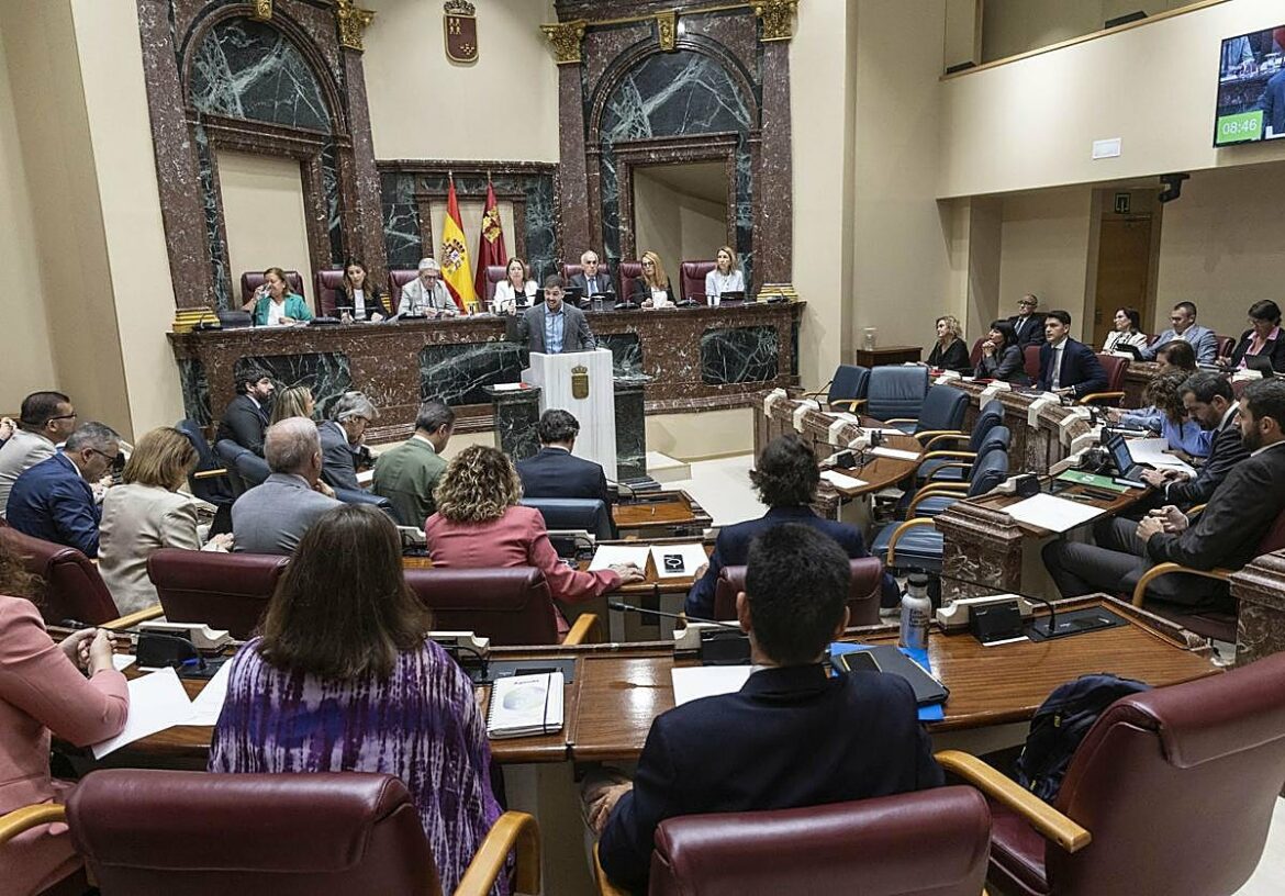 La Asamblea aprueba una declaración institucional en defensa del corredor Cartagena-Albacete