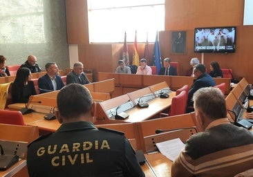 Agricultura y Medio Ambiente piden una conferencia sectorial para abordar la peste porcina
