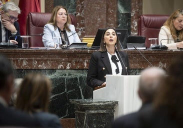 López Miras pide una reunión al CEO de Sabic para salvar los empleos