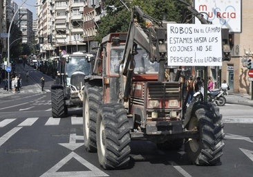 Mercosur podrá introducir más fruta y hortaliza en la UE, pero no facilita que haya reciprocidad