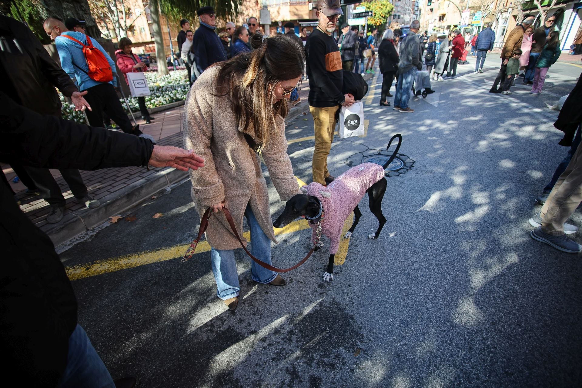 La bendición de animales por San Antón en Murcia, en imágenes