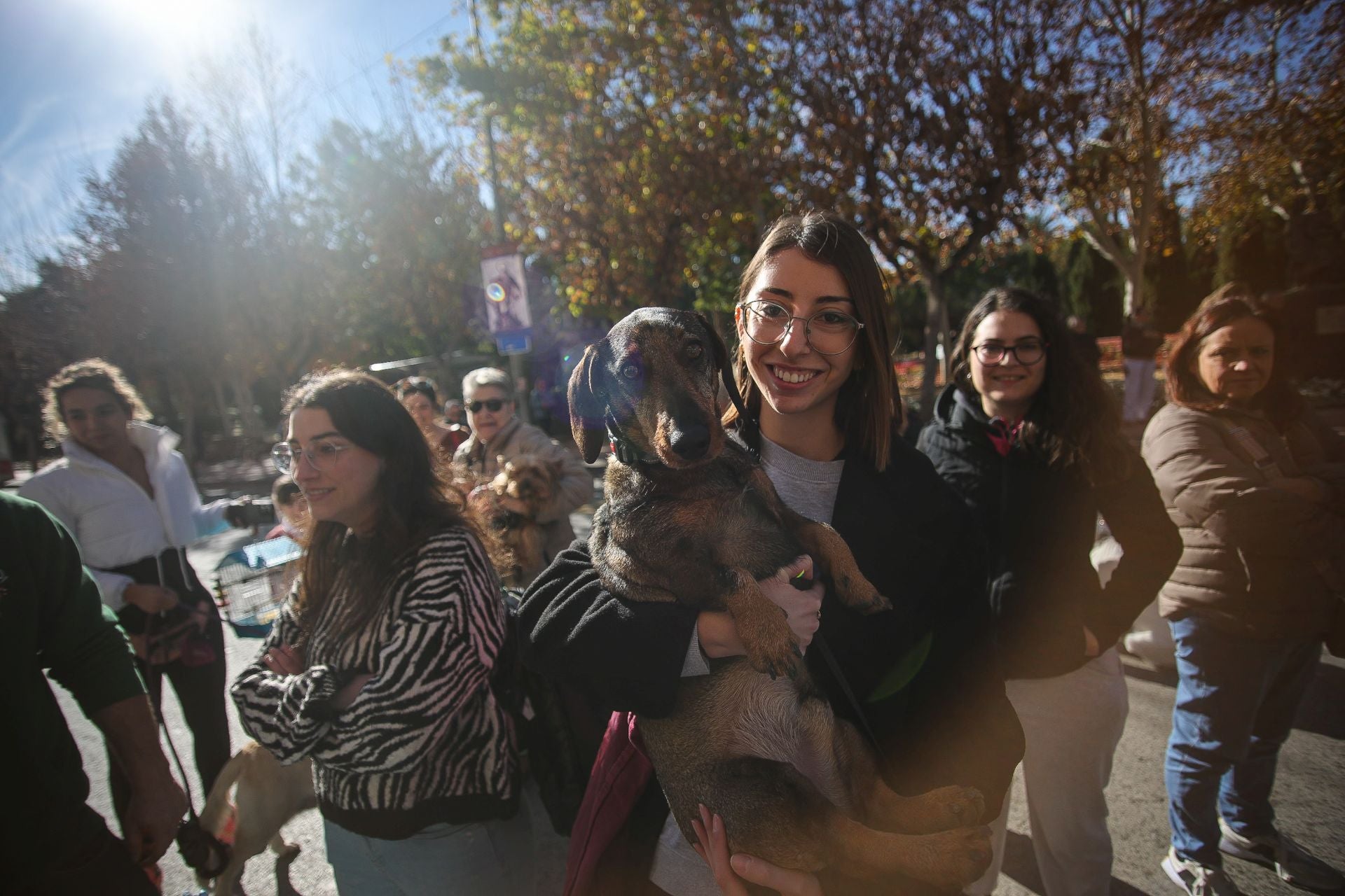 La bendición de animales por San Antón en Murcia, en imágenes