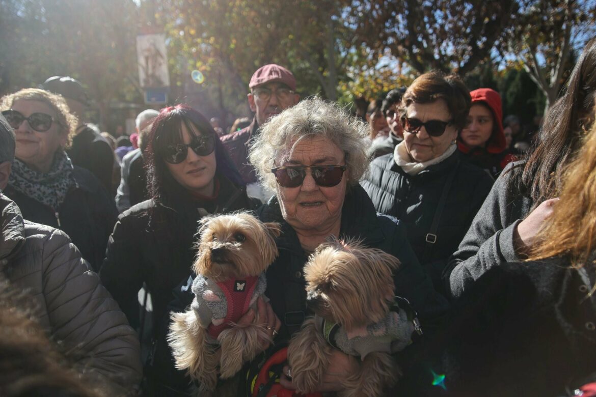 La bendición de animales por San Antón en Murcia, en imágenes
