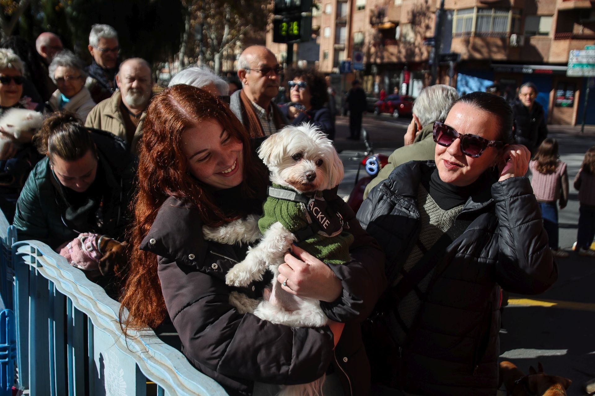 La bendición de animales por San Antón en Murcia, en imágenes