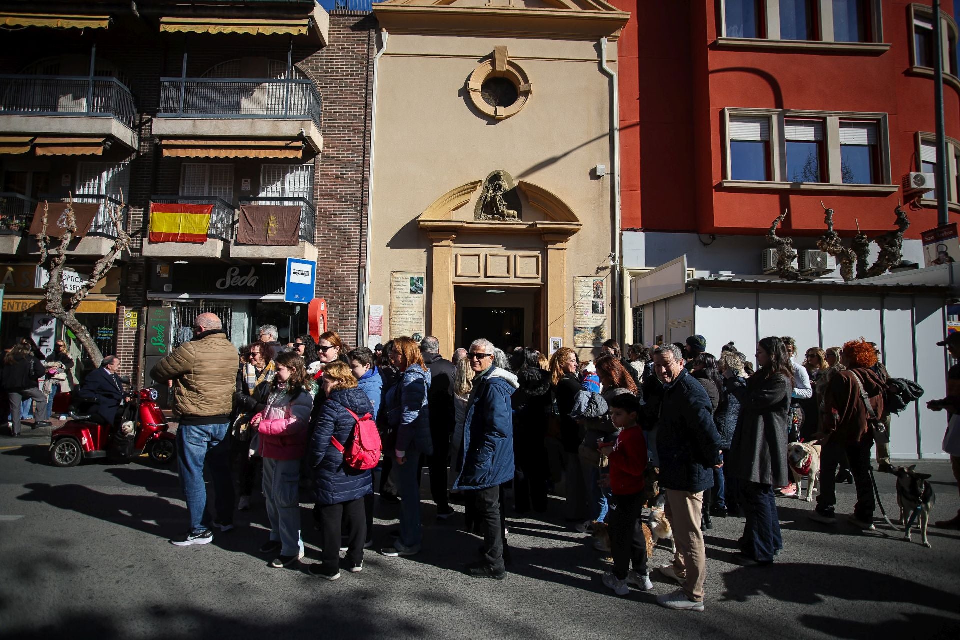 La bendición de animales por San Antón en Murcia, en imágenes