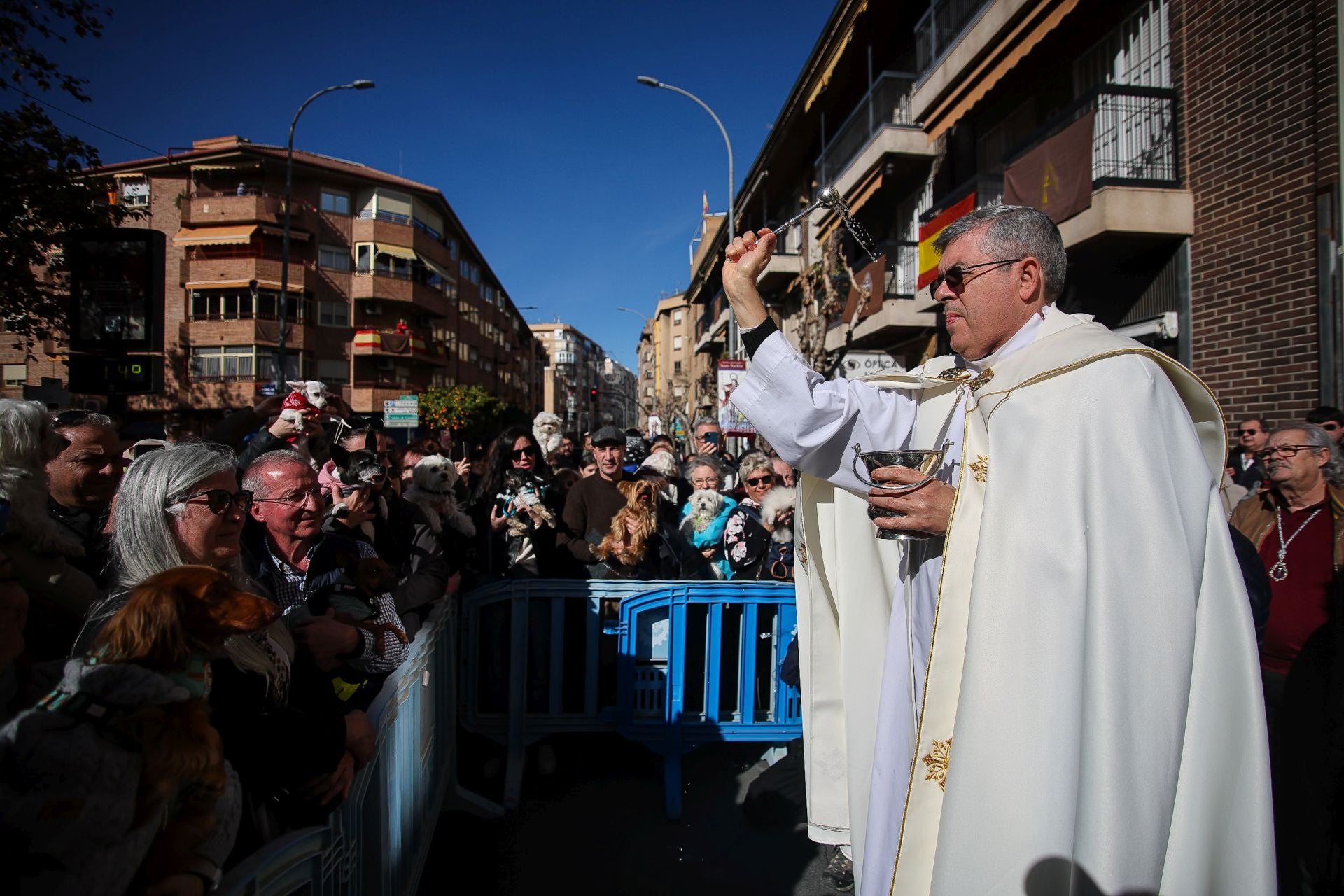 La bendición de animales por San Antón en Murcia, en imágenes