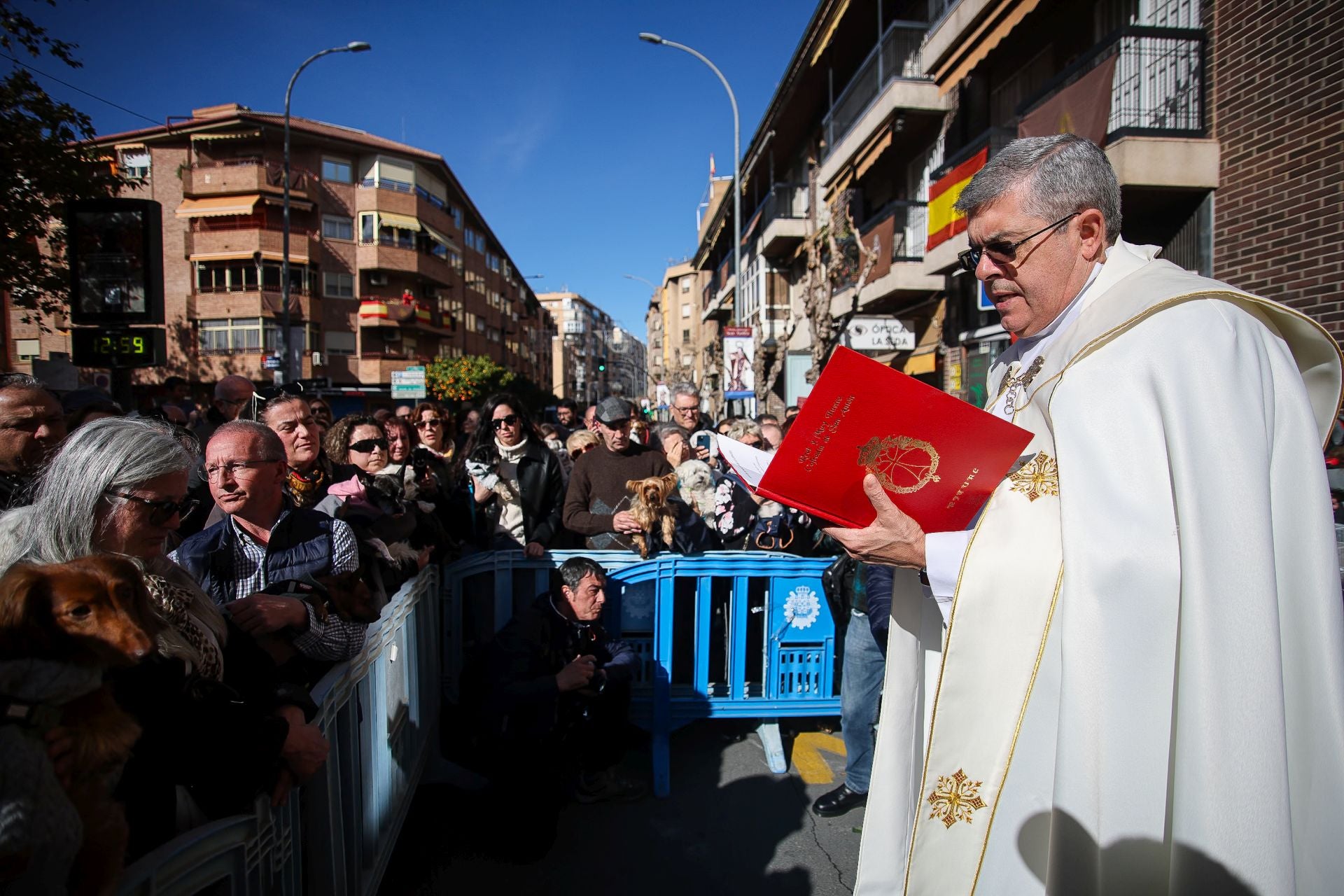 La bendición de animales por San Antón en Murcia, en imágenes