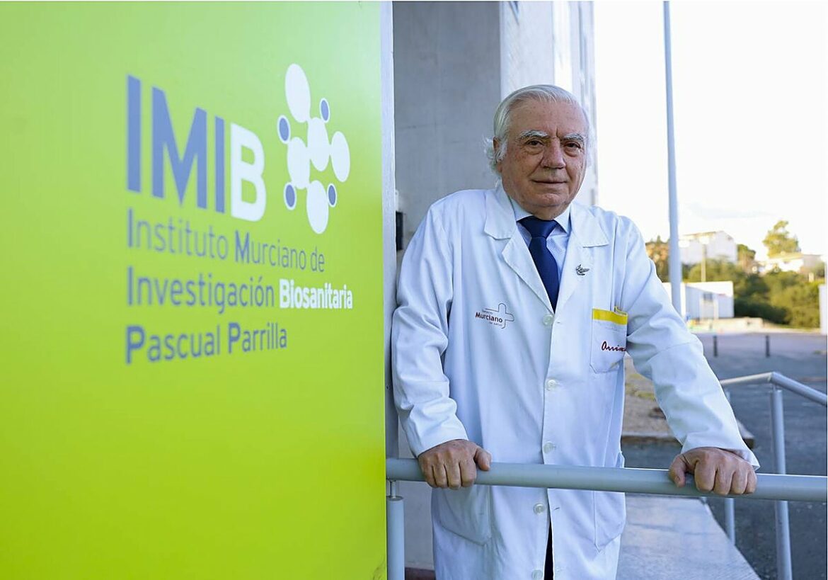 Las células murcianas que han sido clave en la eliminación del cáncer de páncreas en ratones