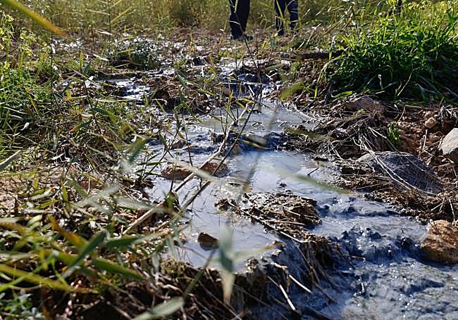 Cansados de agua pestilente y sucia en Los Ramos: «El olor entra hasta en la casa. Nos pican los ojos y la boca»