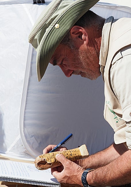 Galán, con una de las figuras halladas en la tumba de Djehuty.