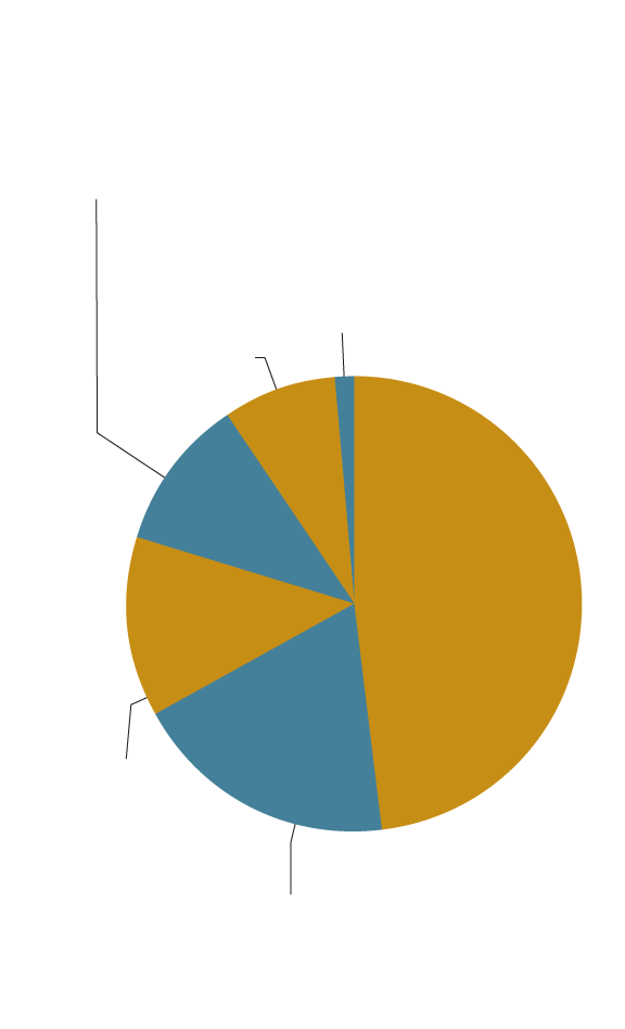 Cada estudiante extranjero se deja una media de 10.528 euros por curso en la Región