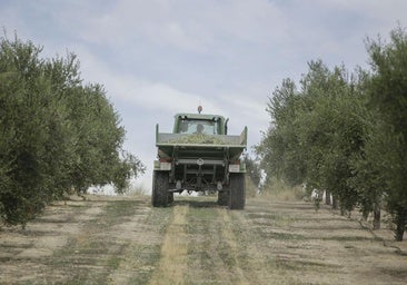 La UE y Mercosur desafían a Trump en la firma de su acuerdo comercial: «Elegimos el comercio justo frente a los aranceles»