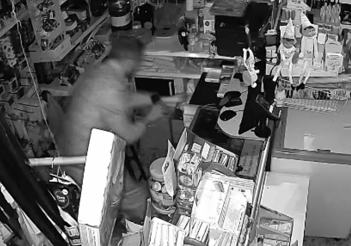 Tres detenidos que rompían escaparates y cerraduras para robar en comercios de Totana