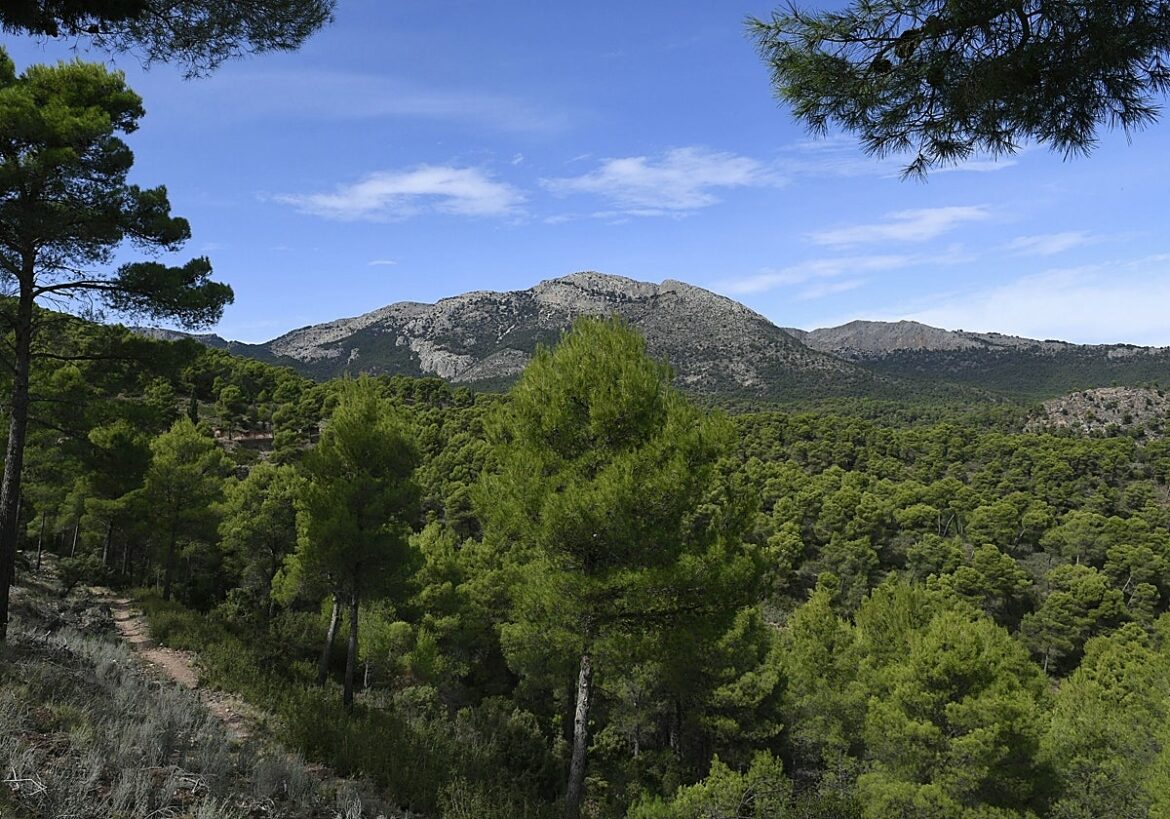 El plan de gestión de Sierra Espuña saca del parque el circuito del rally de Totana