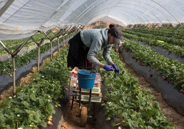 Las empresas podrán todavía sortear mediante los pluses la nueva subida del salario mínimo