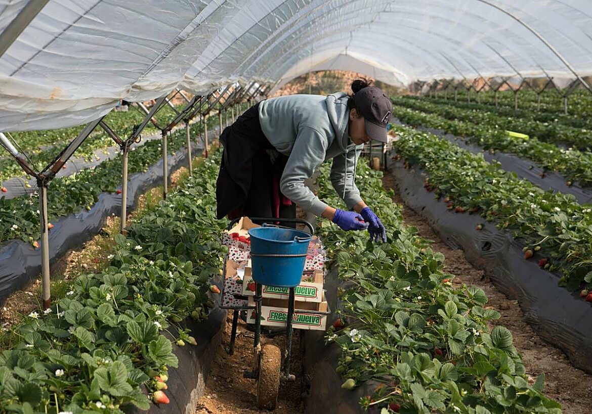 La subida del salario mínimo beneficia a uno de cada diez asalariados