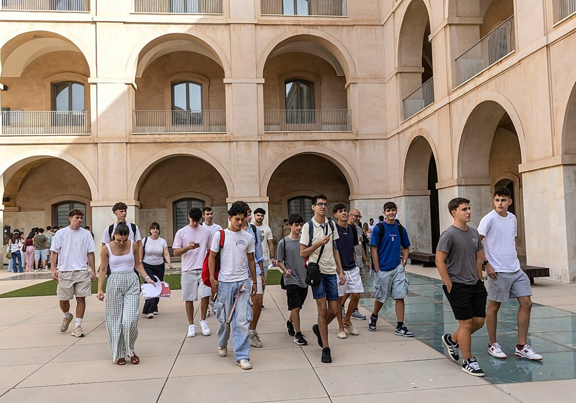 Las ingenierías vuelven a enchufarse: los alumnos crecen un 15,75%