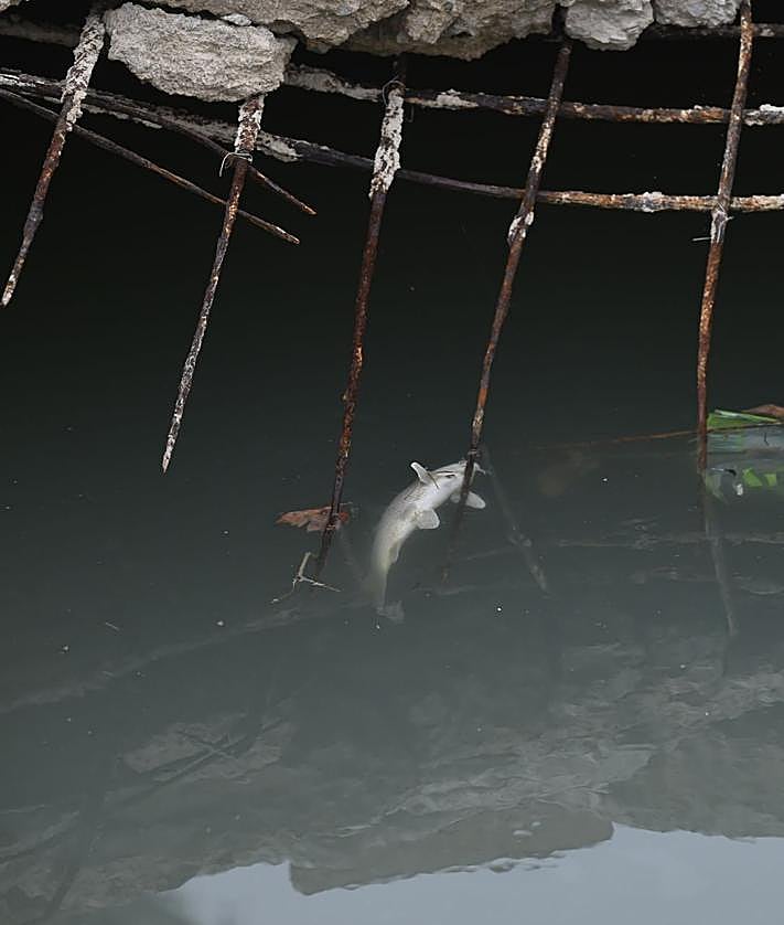 Imagen secundaria 2 - Socavón que generó en el cimbrado hace unos días la maniobra de un camión, junto a El Tramuso.